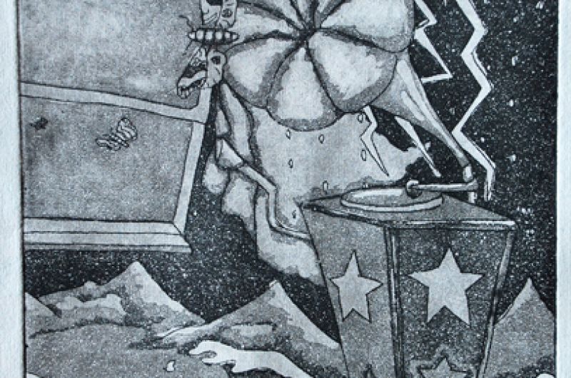andrea cross guns